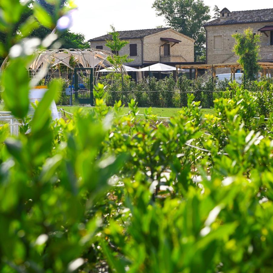 Moretti Village - Sophie Rooms Country House Civitanova Marche Dış mekan fotoğraf
